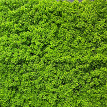Afbeelding in Gallery-weergave laden, Resileaf Moss - 3m²

