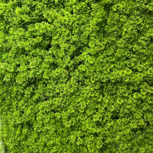 Afbeelding in Gallery-weergave laden, Resileaf Moss - 3m²
