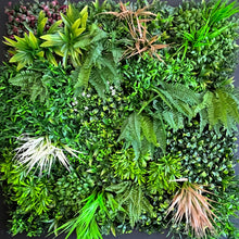 Charger l'image dans la galerie, Resileaf VG Urban Green 1 - 5m²
